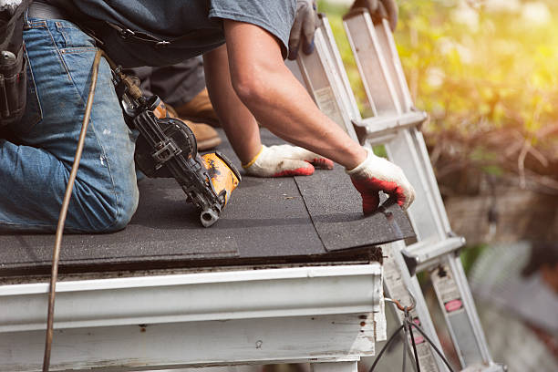 Best New Roof Installation  in Dexter, GA