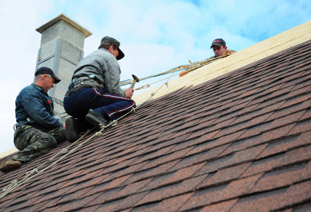 Best New Roof Installation  in Dexter, GA