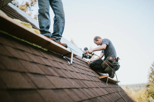 Best Flat Roof Repair Services  in Dexter, GA