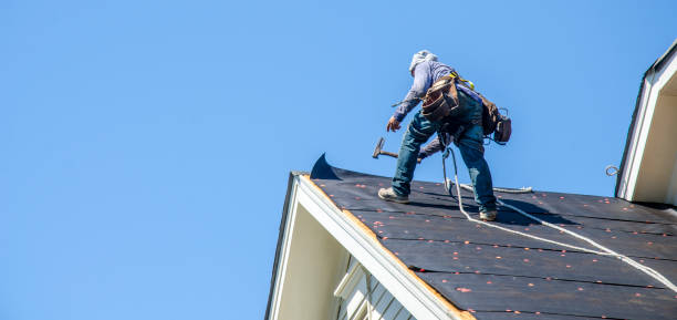 Best Commercial Roof Installation  in Dexter, GA